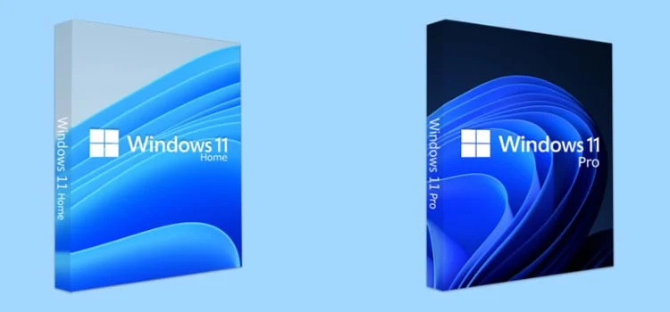 Windows-11-Home-Vs-Pro