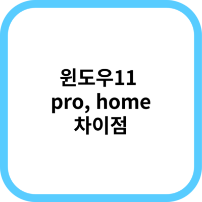 윈도우11 pro, home 차이점