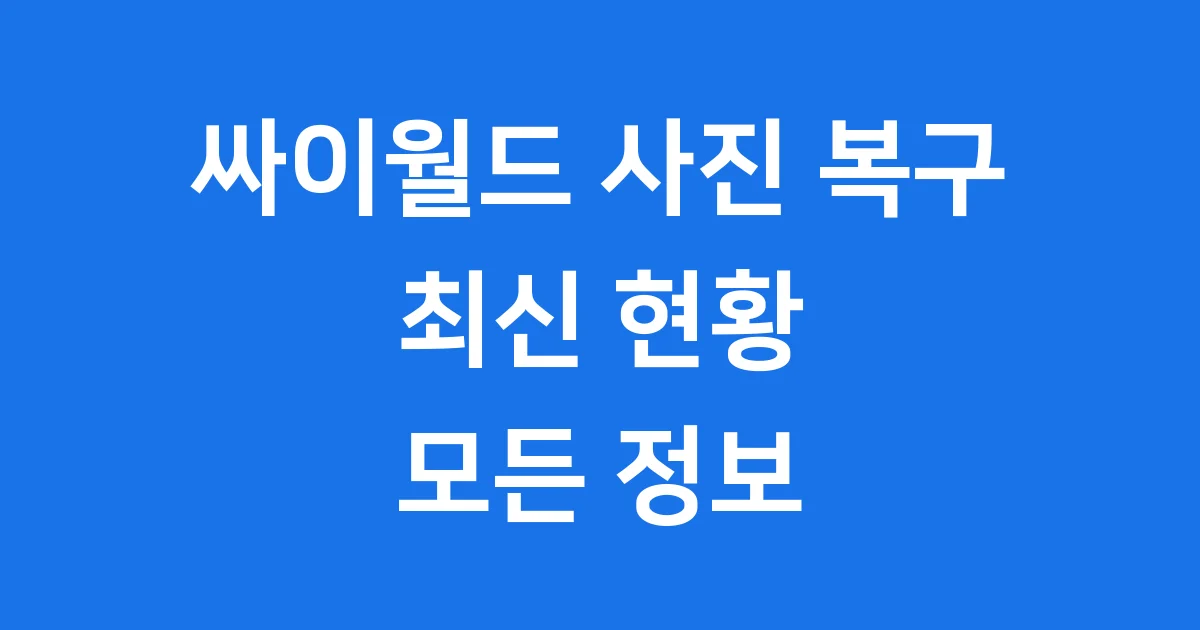 싸이월드 사진 복구 현황 최신 정보