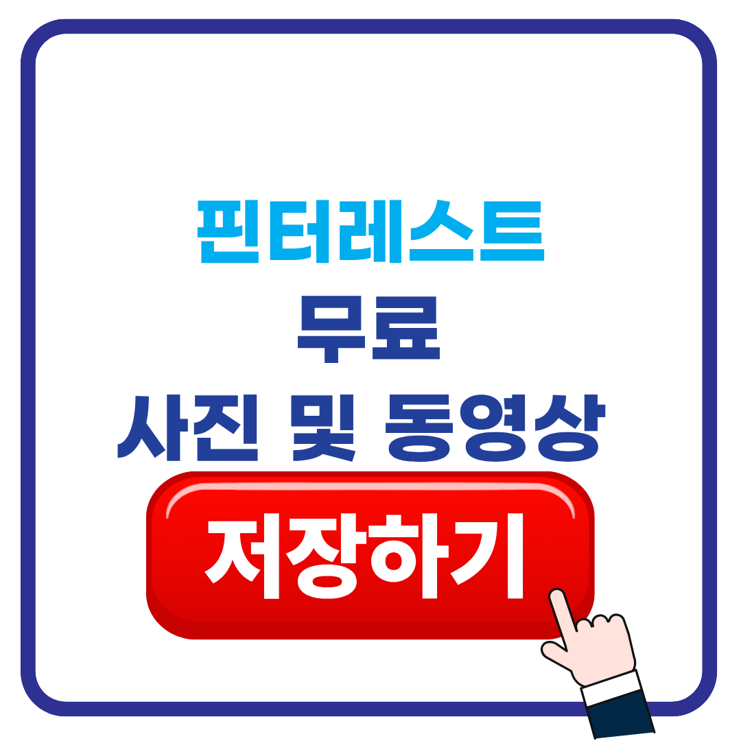 핀터레스트 사진 동영상 다운로드